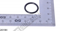 O-Ring (Sb5)