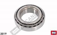 Tapered Roller Bearing