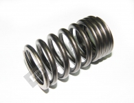 Valve Spring
