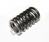 Valve Spring