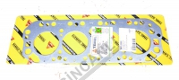 Cylinder Head Gasket