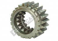 4-8 Coupling Gear 21x16Z