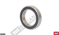 Bearing