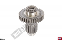 Input Shaft Seal