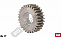 Planetary Gear Z=29
