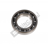 Dual Power Carrier Ball