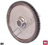 Gear-Pto Driven 81 Teeth