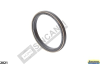 Crankshaft Seal 
