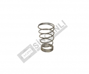 Spring-Inlet Valve