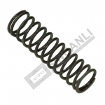 Valve Spring