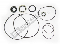 Hydraulic Pump O-Ring Kit