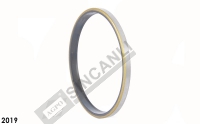 Oil Seal 