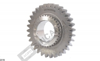 Gear
