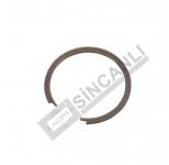 ŞANZIMAN PRİZDİREK SEGMANI