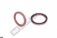 Rear Crank Seal
