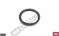 Front Axle Seal Nbr Basl 100x125x13