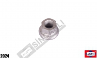 Rear Wheel Nut 
