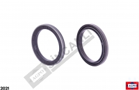 Rotary Shaft Seal