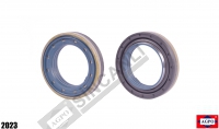 Oil Seal