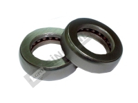 Thrust Bearing