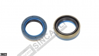 Axle Seal