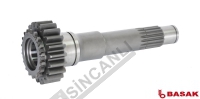 Gear Shaft Z:21