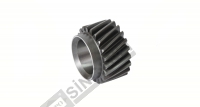 Gear, Crank Z:21