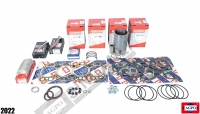 Overhaul Kit