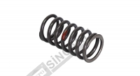 Valve Spring