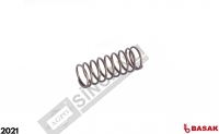 Valve Spring