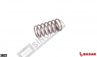 Valve Spring