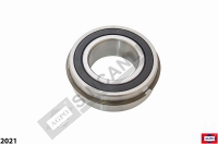 ALT GRUP BİLYASI SEGMANLI 3210 2RSNR