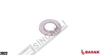 Valve Spring