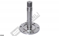 Rear Axle Hub
