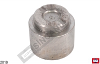 Hydraulic Piston
