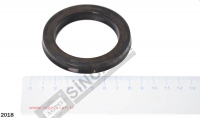 Hydraulic Piston Seal