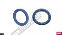 Rear Axle Seal