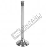 Valve Engine Exhaust