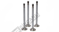Exhaust Valve Std