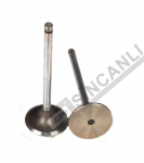 Inlet Valve Std.