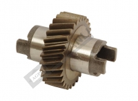 Gear-Hydraulic Pump Z:29