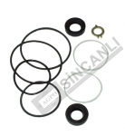 Hydraulic Pump Repair Kit