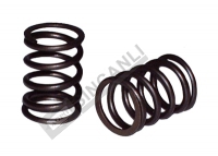 Valve Spring