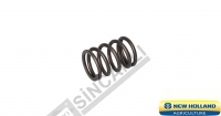 Valve Spring 