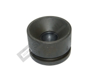 Hydraulic Piston
