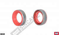 Oil Seal