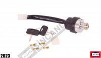 Ignition Switch