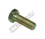 Bolt-Pto Pulley Fixing