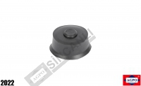 Protection Cap