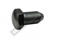 Screw-Front Cowling Fix Ing (M 14)